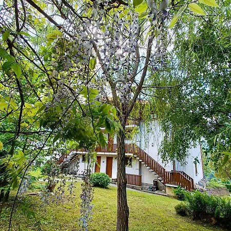 Casa Lizzy * زونه